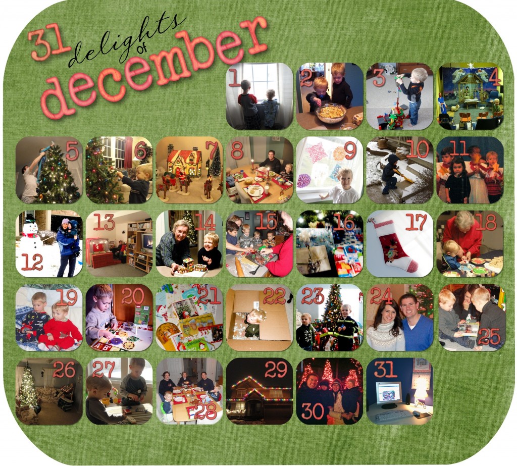 Pic-a-day calendar Dec 2010