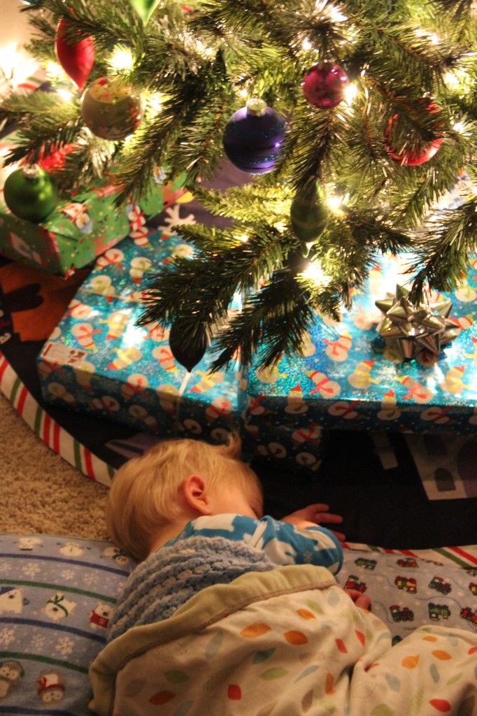 12-15-2013 sleeping under the tree (15c)